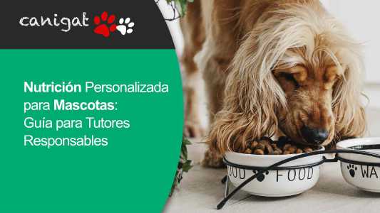 Nutrición Personalizada para Mascotas- Guía para Tutores Responsables