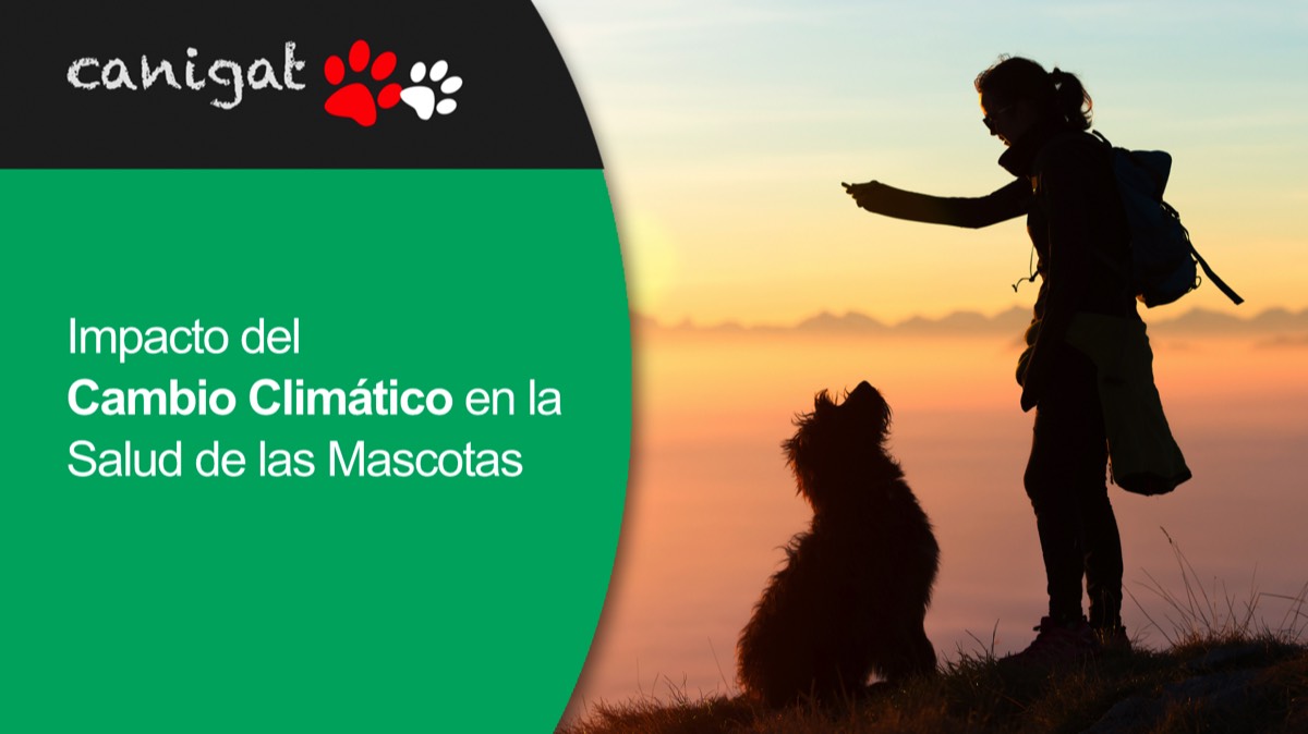 Impacto del Cambio Climático en la Salud de las Mascotas