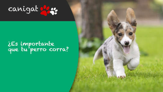 Stacks Image 82708