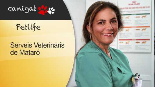 SERVEIS VETERINARIS DE MATARÓ