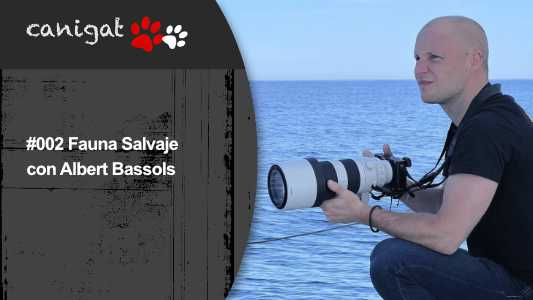 #002 Fauna Salvaje con Albert Bassols